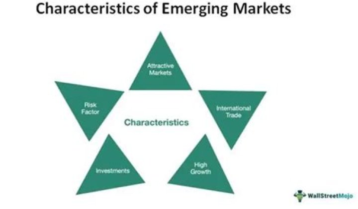 Characteristics of emerging economies