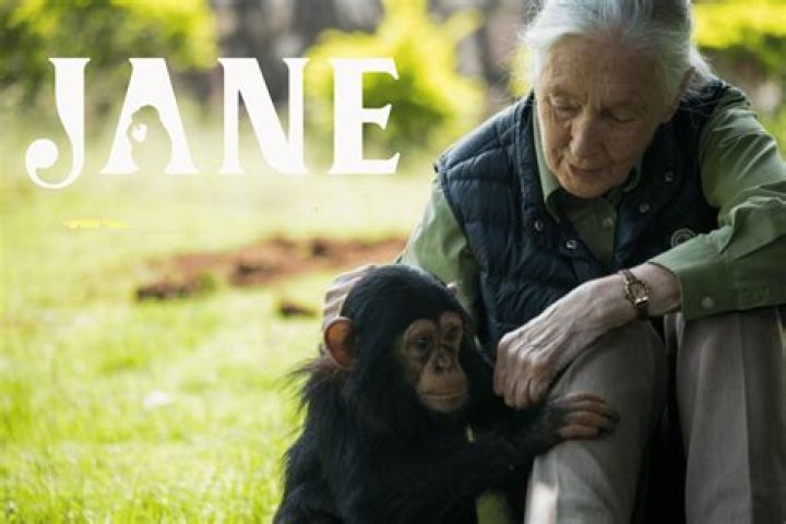 Is Jane Goodall Still Alive? Whereabouts Today – Her Age And Health Update