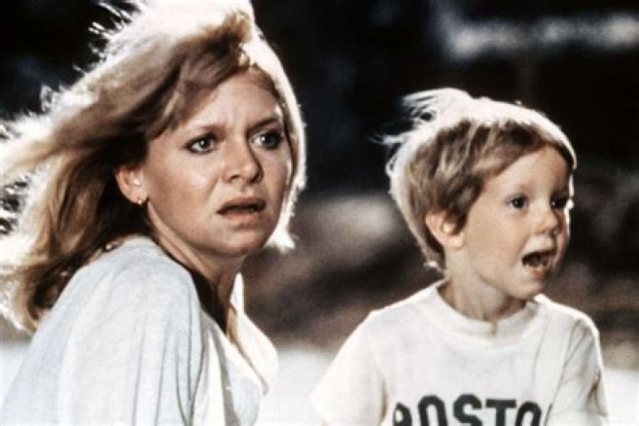 Is Melinda Dillon Matt Dillon’s Mother? Who is Melinda Dillon related to?