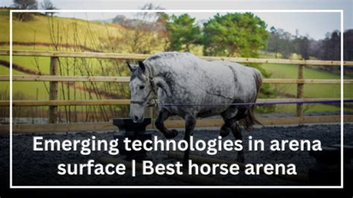 What is the best surface for a horse arena